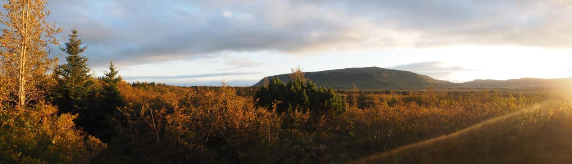 Local Cottage With Amazing View Selfoss Dış mekan fotoğraf